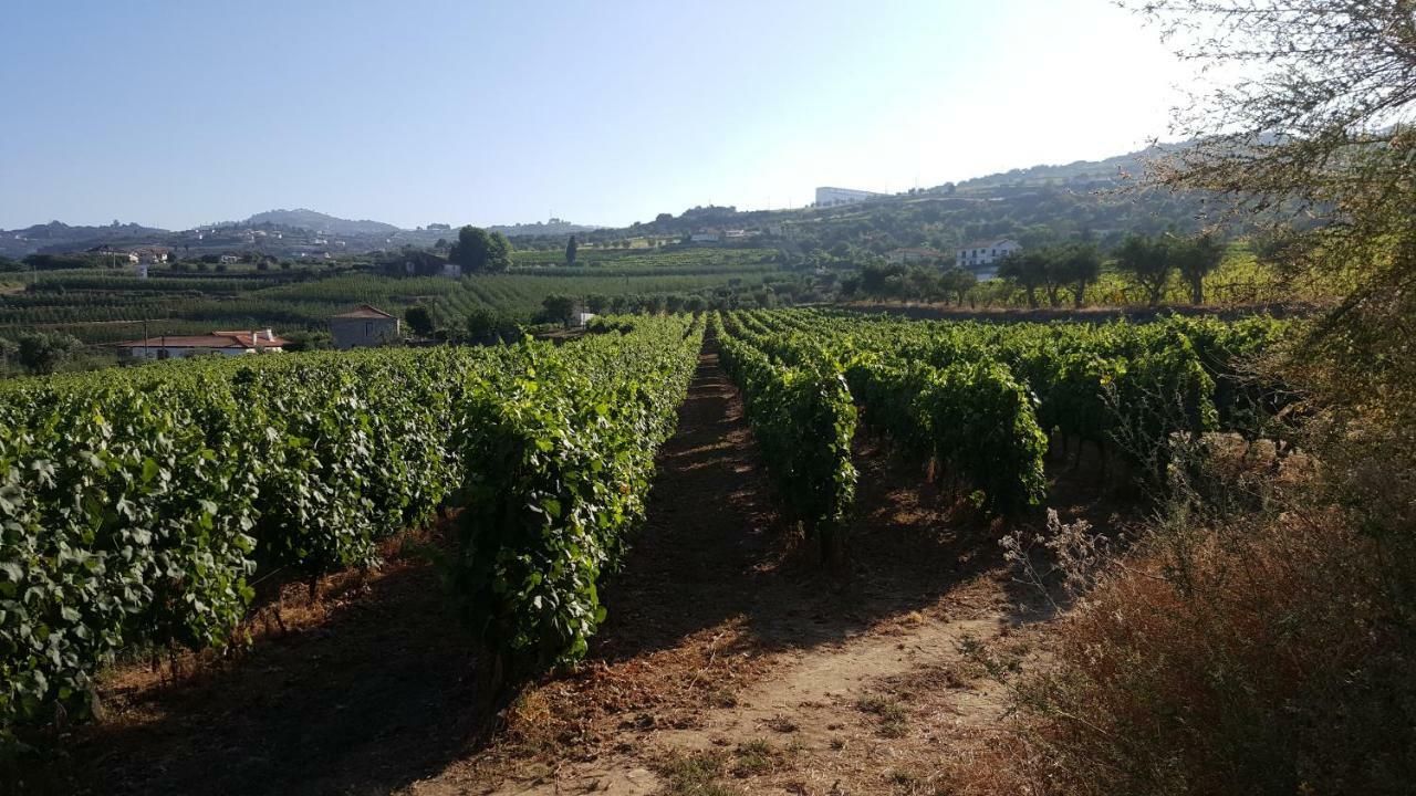 למאגו Quinta Do Acipreste מראה חיצוני תמונה