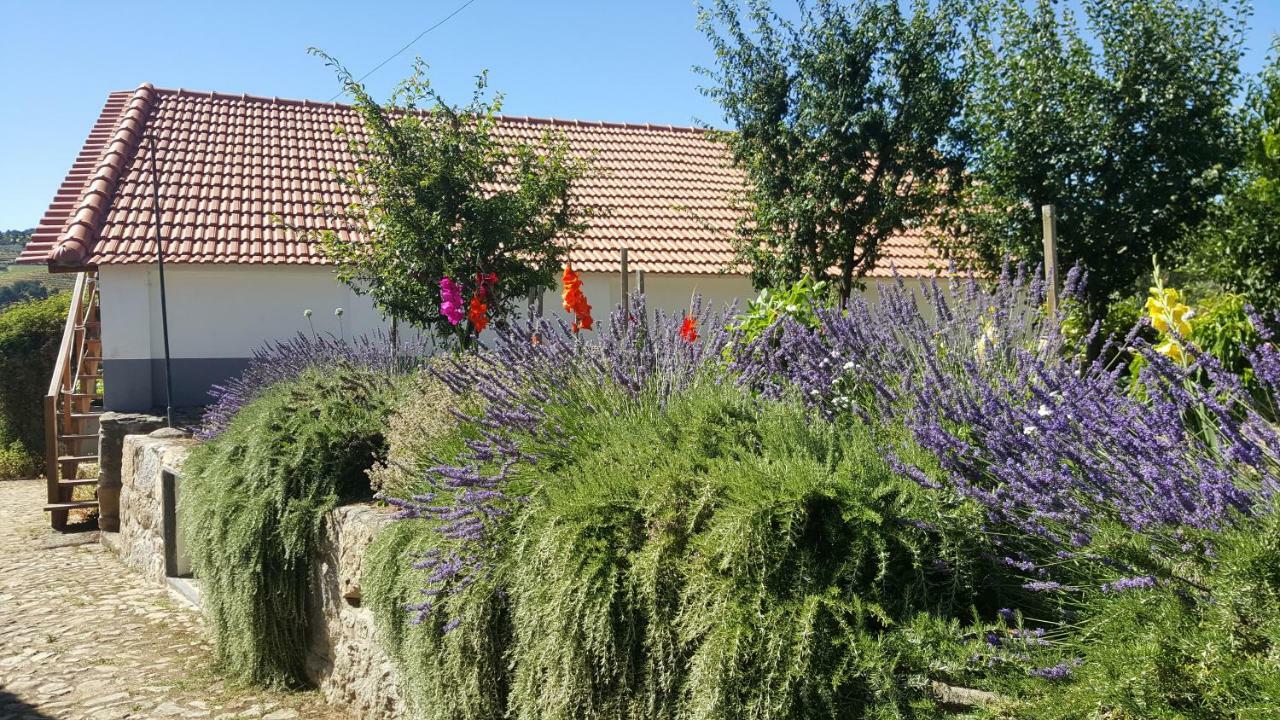 למאגו Quinta Do Acipreste מראה חיצוני תמונה